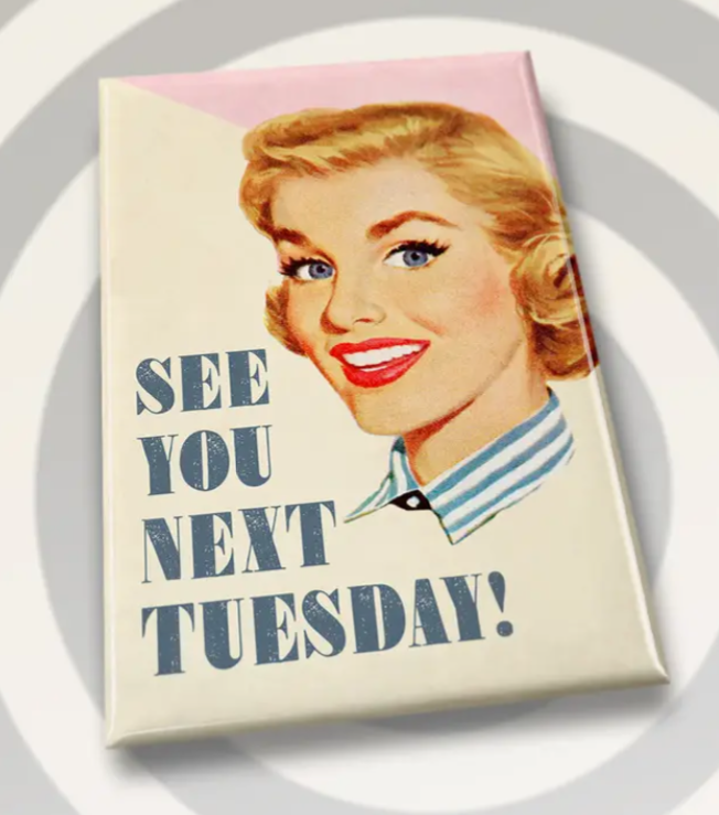 Campy Retro Rectangle Fridge Magnets- Assorted Styles