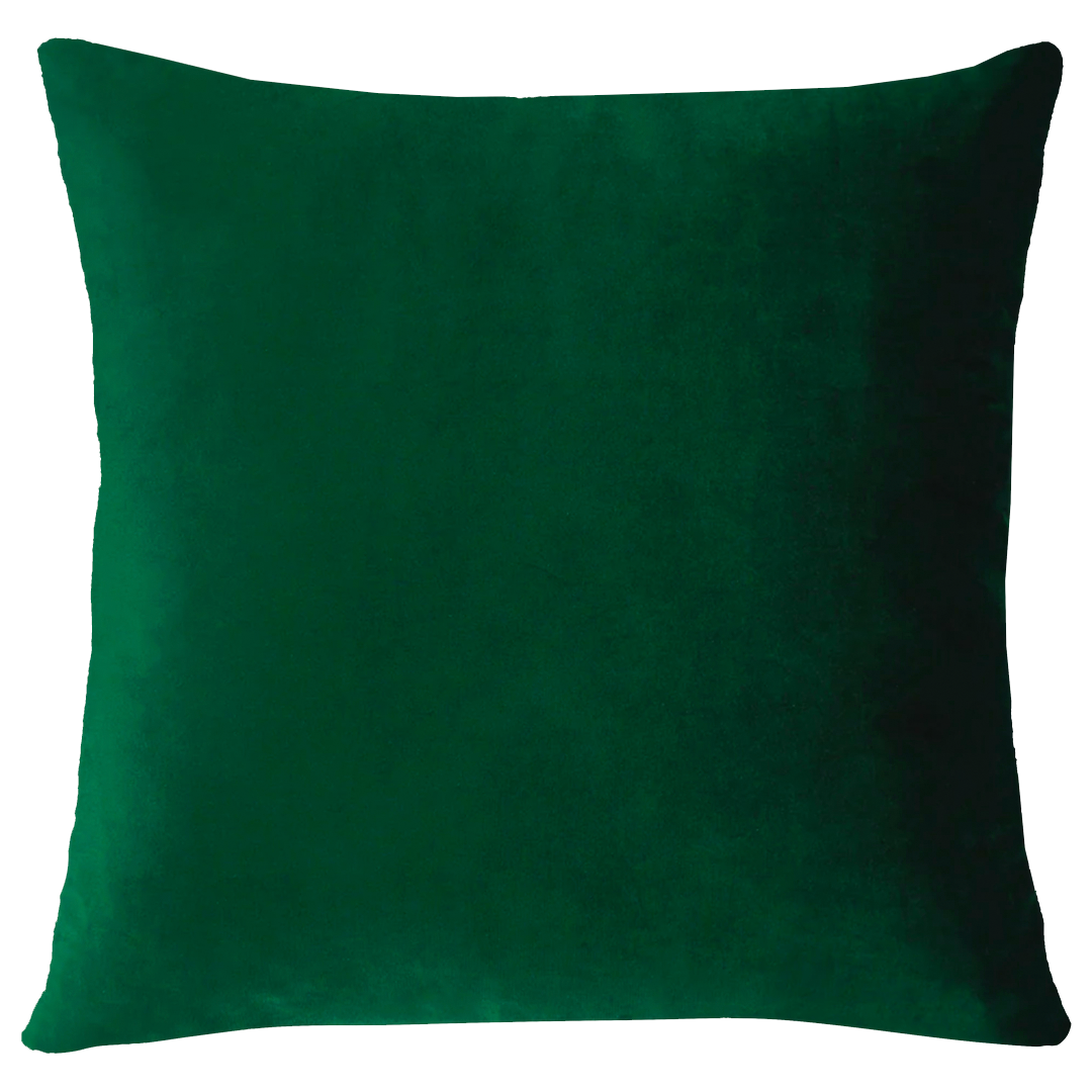 Miami Needlepoint Cushion (limited edition)