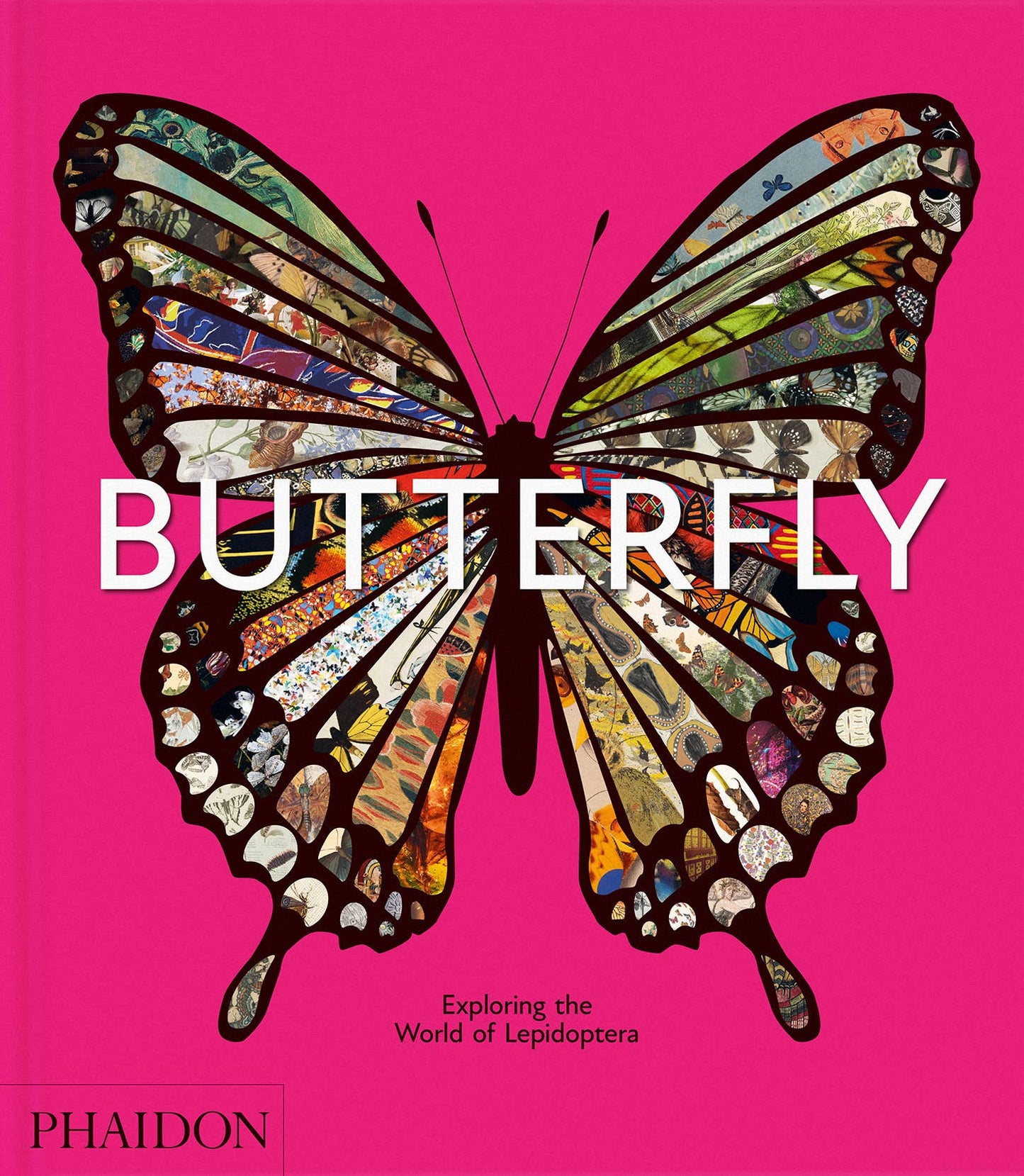 Butterfly: Exploring the World of Lepidoptera (Book)