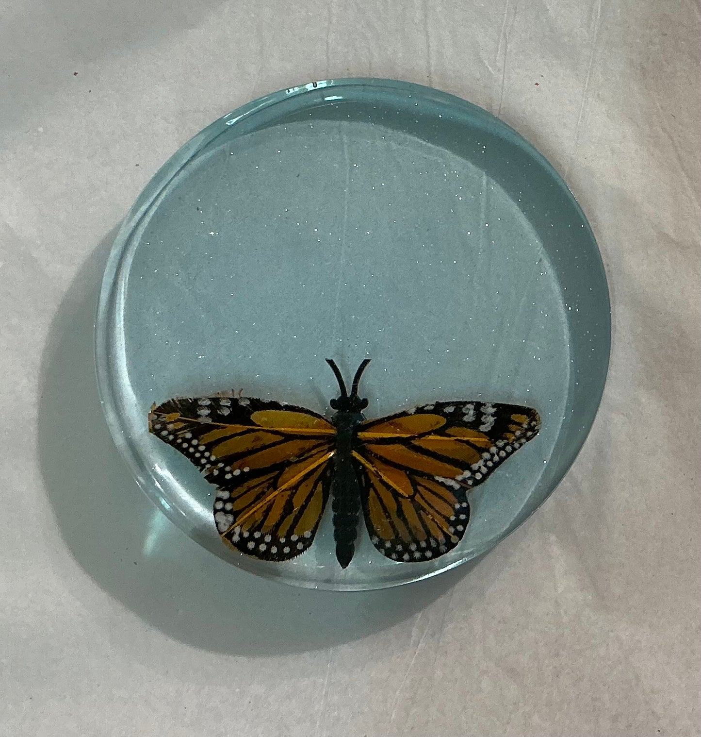 Handmade Butterfly Coaster in Resin (Handmade by one of our Artists)