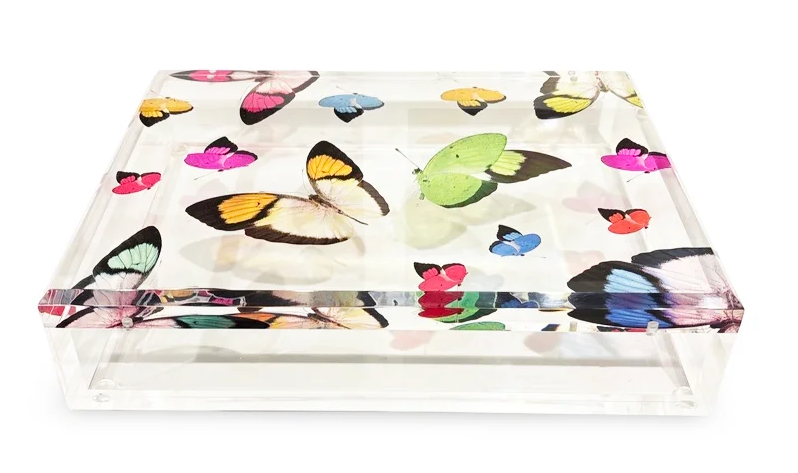 Transparent Butterflies Acrylic Box- 8"x 10" or 10"x 12"