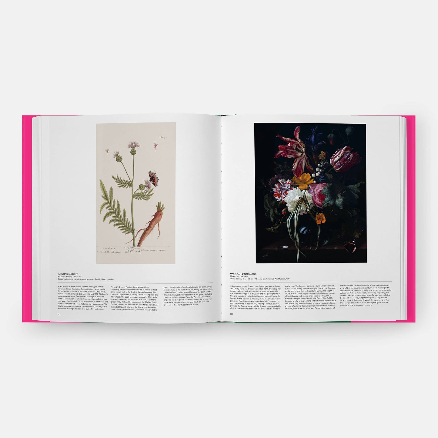 Butterfly: Exploring the World of Lepidoptera (Book)