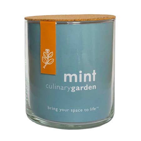 Mint Garden | Spring & Tea Gift Idea