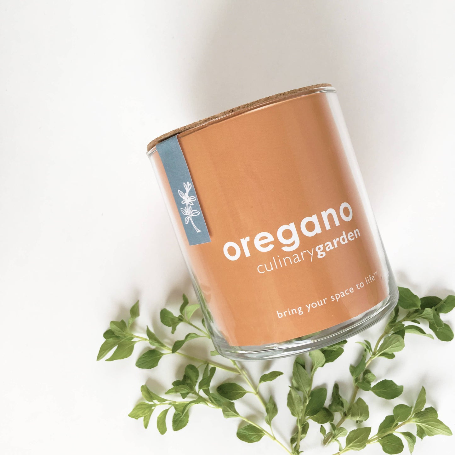 Oregano Garden | Easter & Spring Herb Gift | Hostess Gift