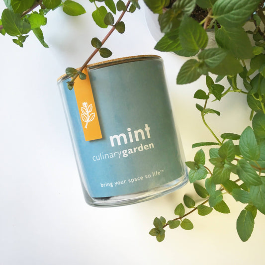 Mint Garden | Spring & Tea Gift Idea
