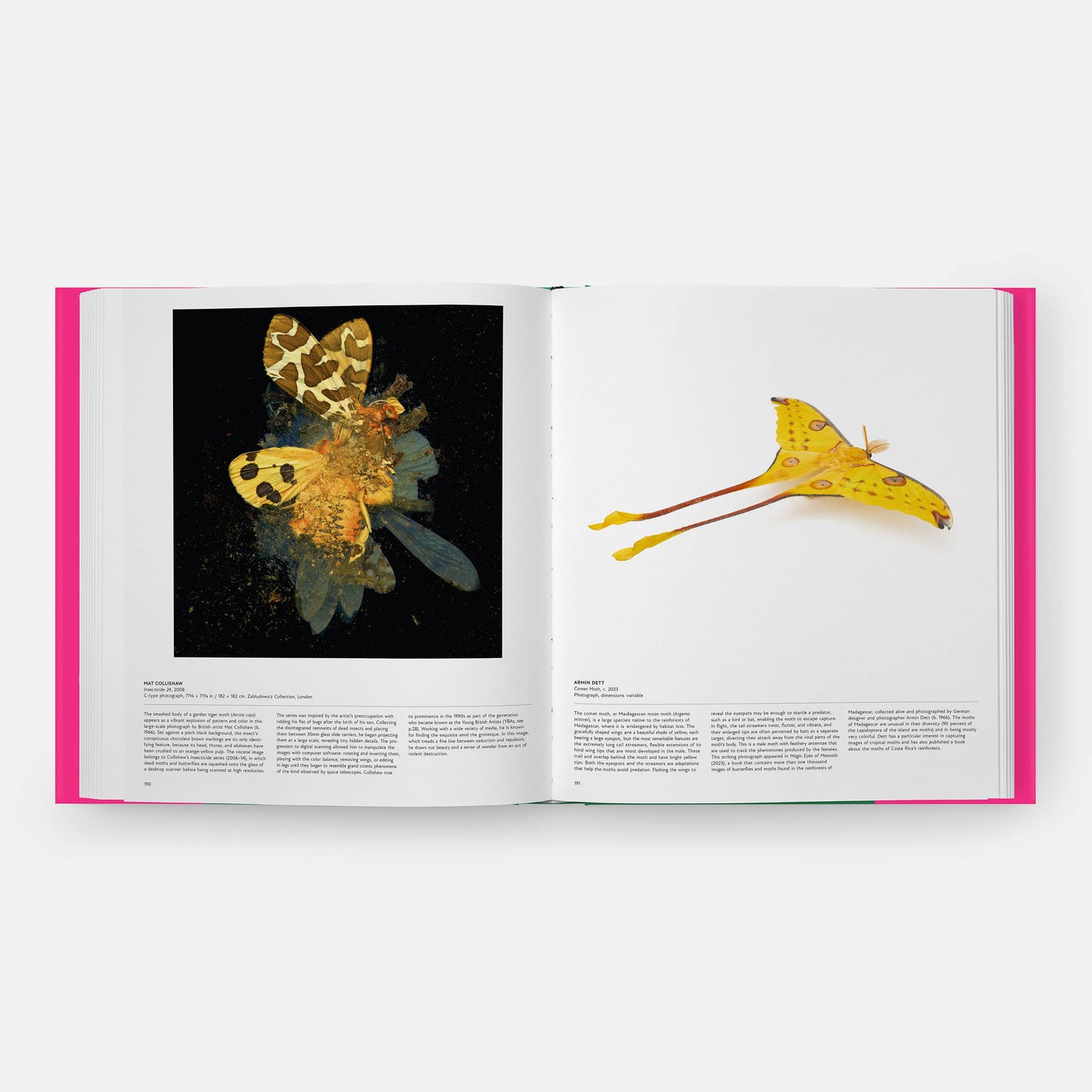 Butterfly: Exploring the World of Lepidoptera (Book)