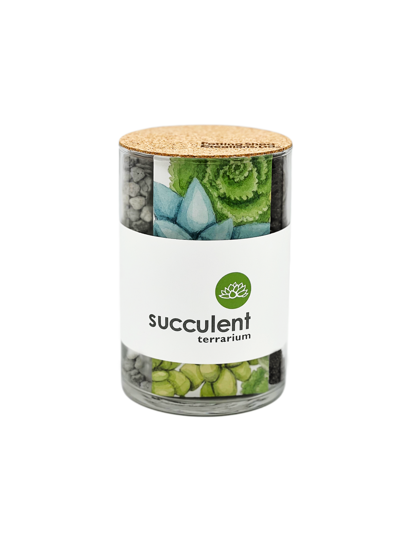 Succulent Terrarium