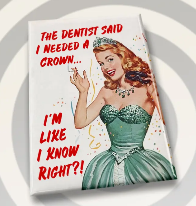 Campy Retro Rectangle Fridge Magnets- Assorted Styles