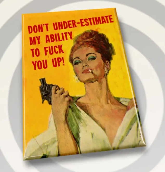 Campy Retro Rectangle Fridge Magnets- Assorted Styles