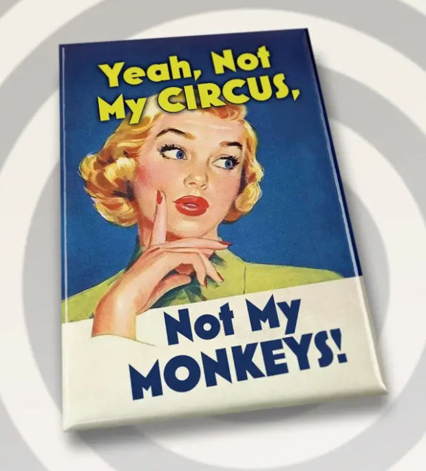 Campy Retro Rectangle Fridge Magnets- Assorted Styles