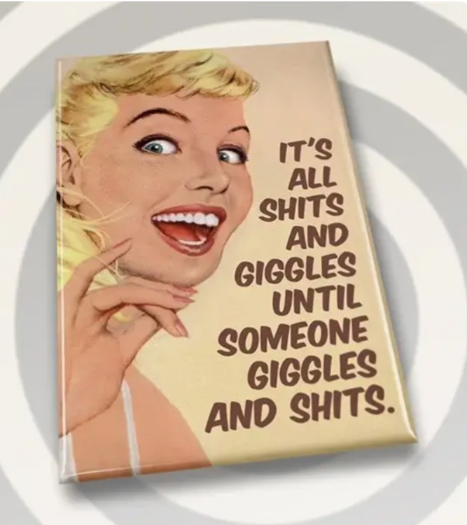 Campy Retro Rectangle Fridge Magnets- Assorted Styles