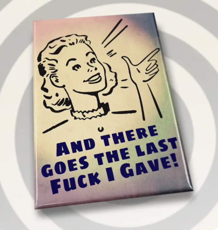 Campy Retro Rectangle Fridge Magnets- Assorted Styles