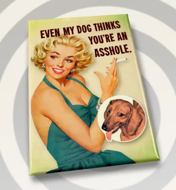 Campy Retro Rectangle Fridge Magnets- Assorted Styles