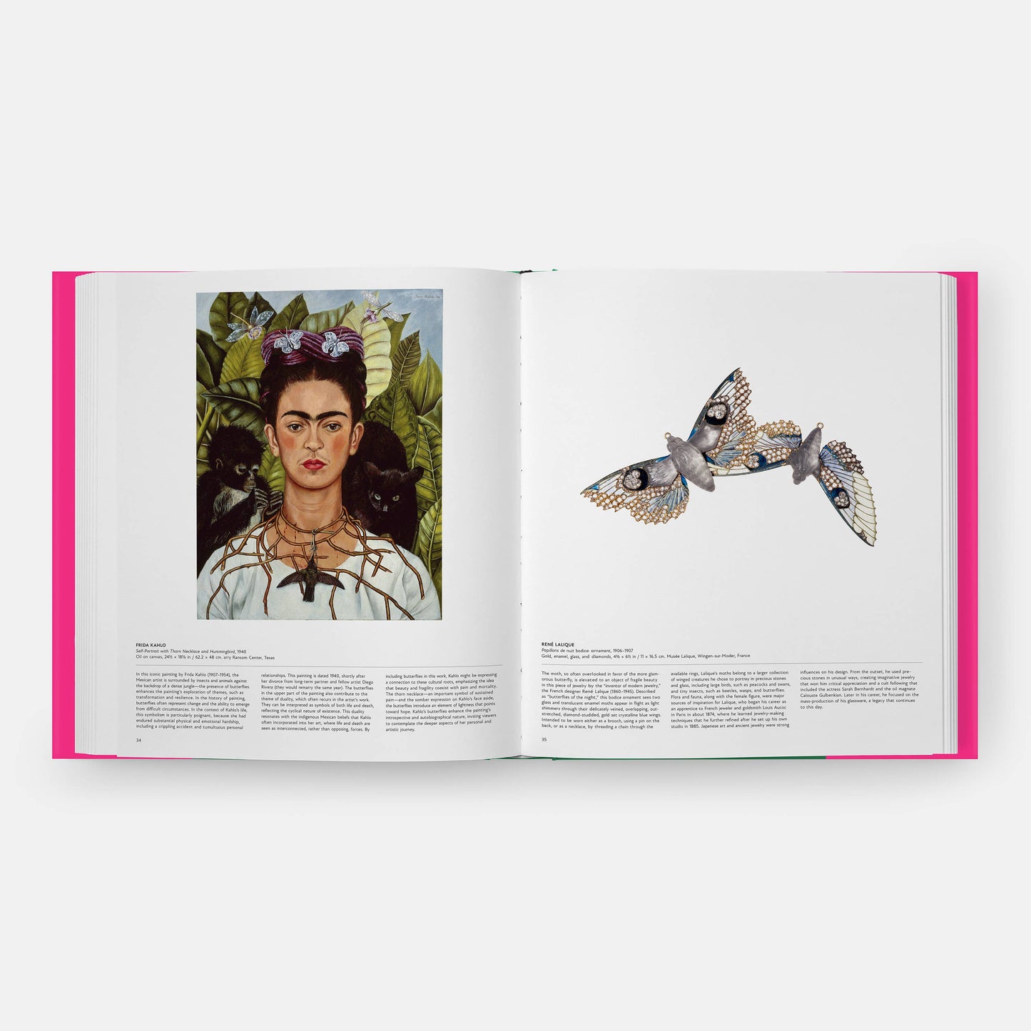 Butterfly: Exploring the World of Lepidoptera (Book)
