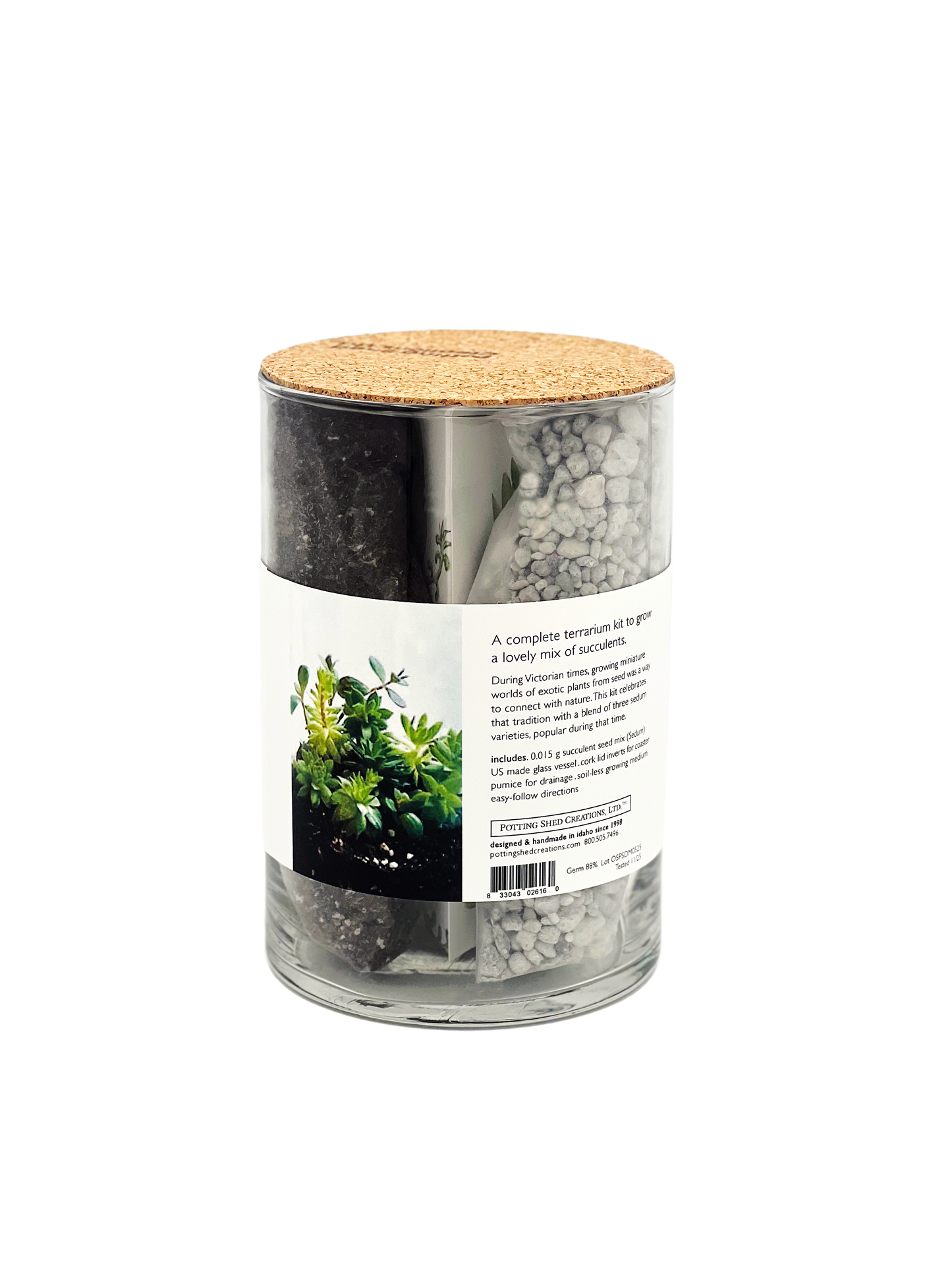 Succulent Terrarium
