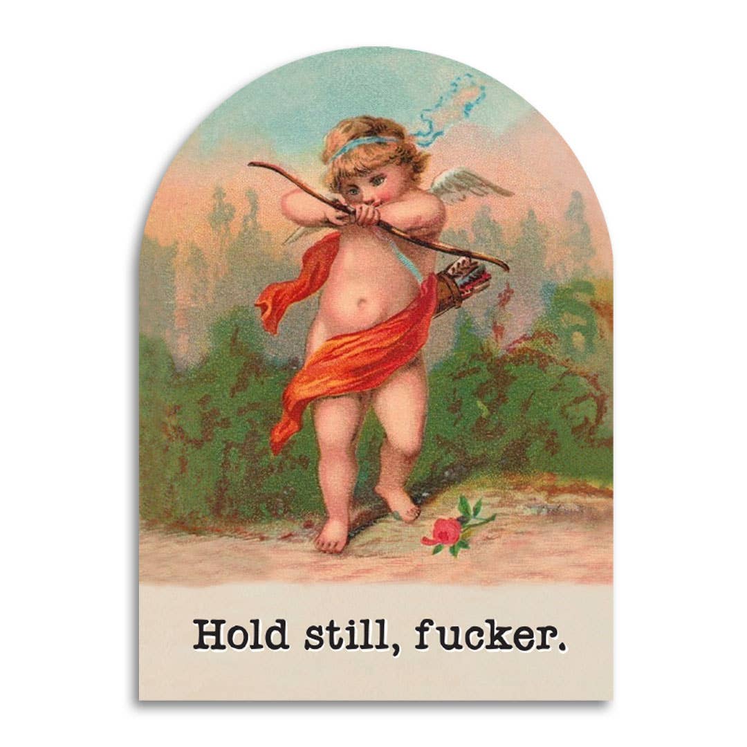 Hold Still, Fucker - Funny Cupid Valentine's Day Card