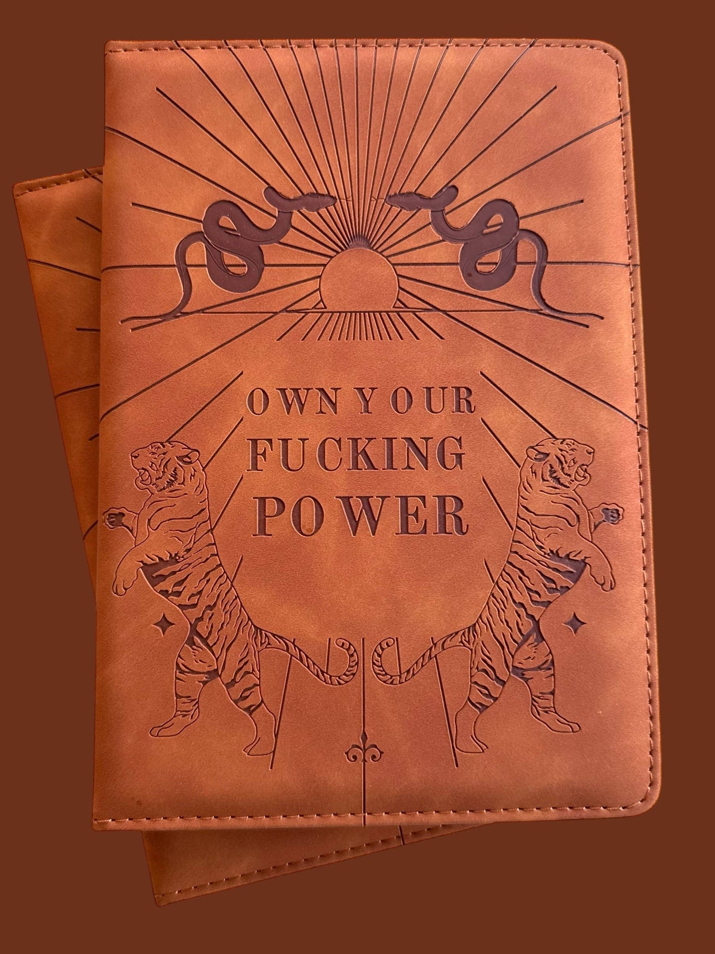 Journal Own Your Fucking Power Journal
