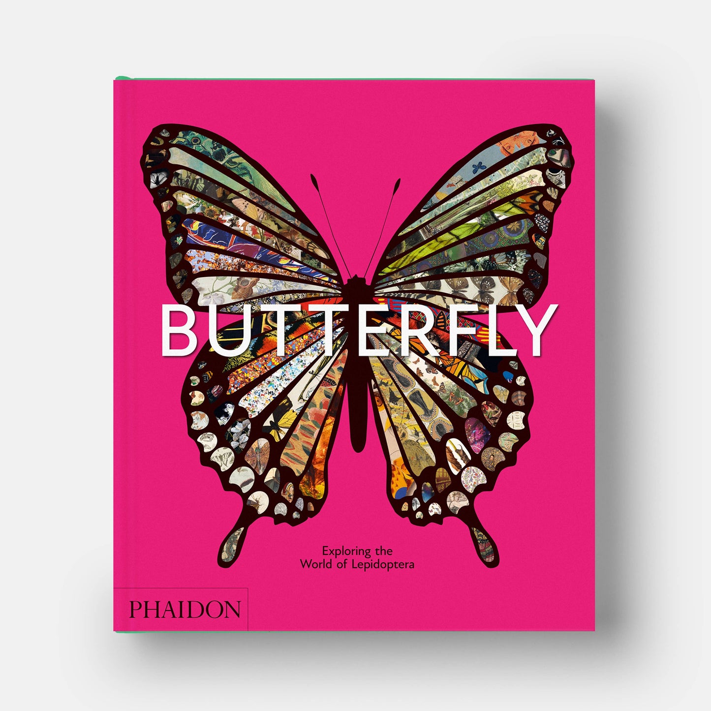 Butterfly: Exploring the World of Lepidoptera (Book)