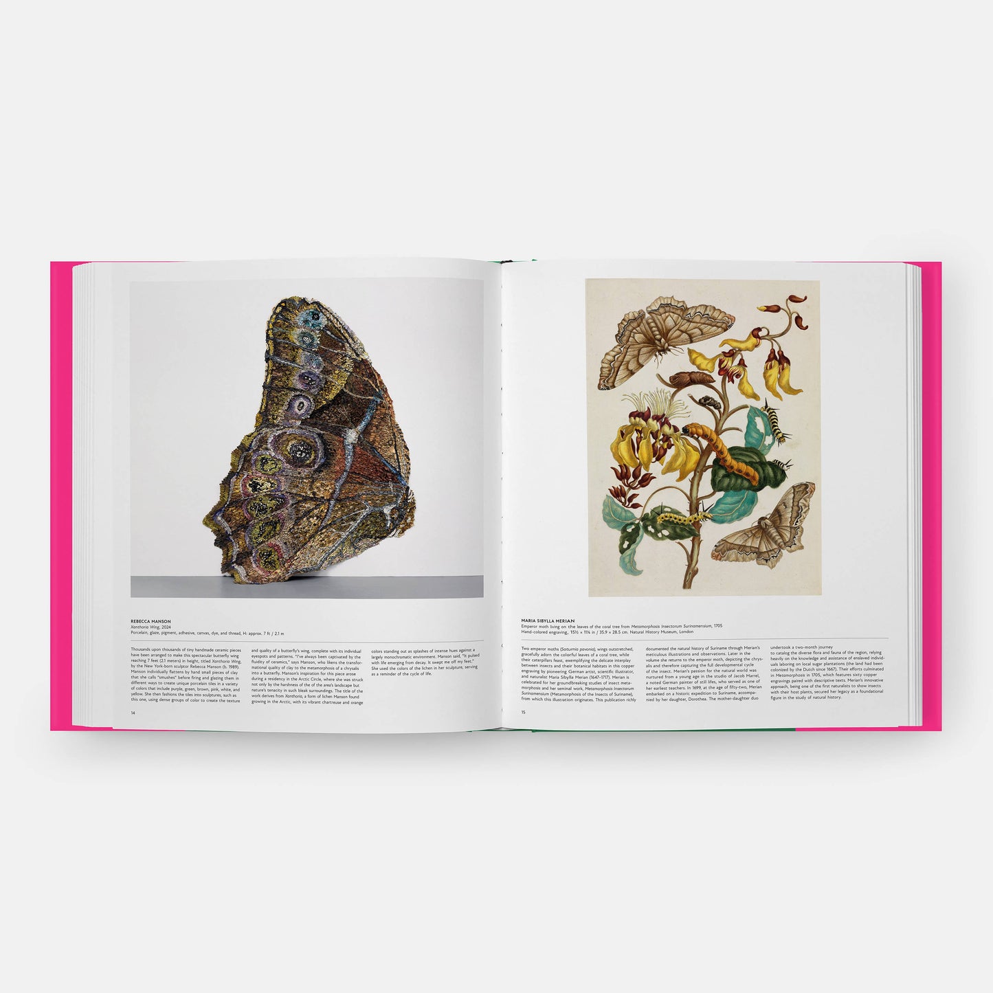 Butterfly: Exploring the World of Lepidoptera (Book)