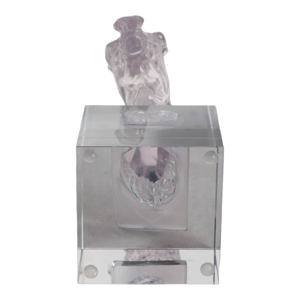 Decorative Object - Clear Crystal Elegant Horse