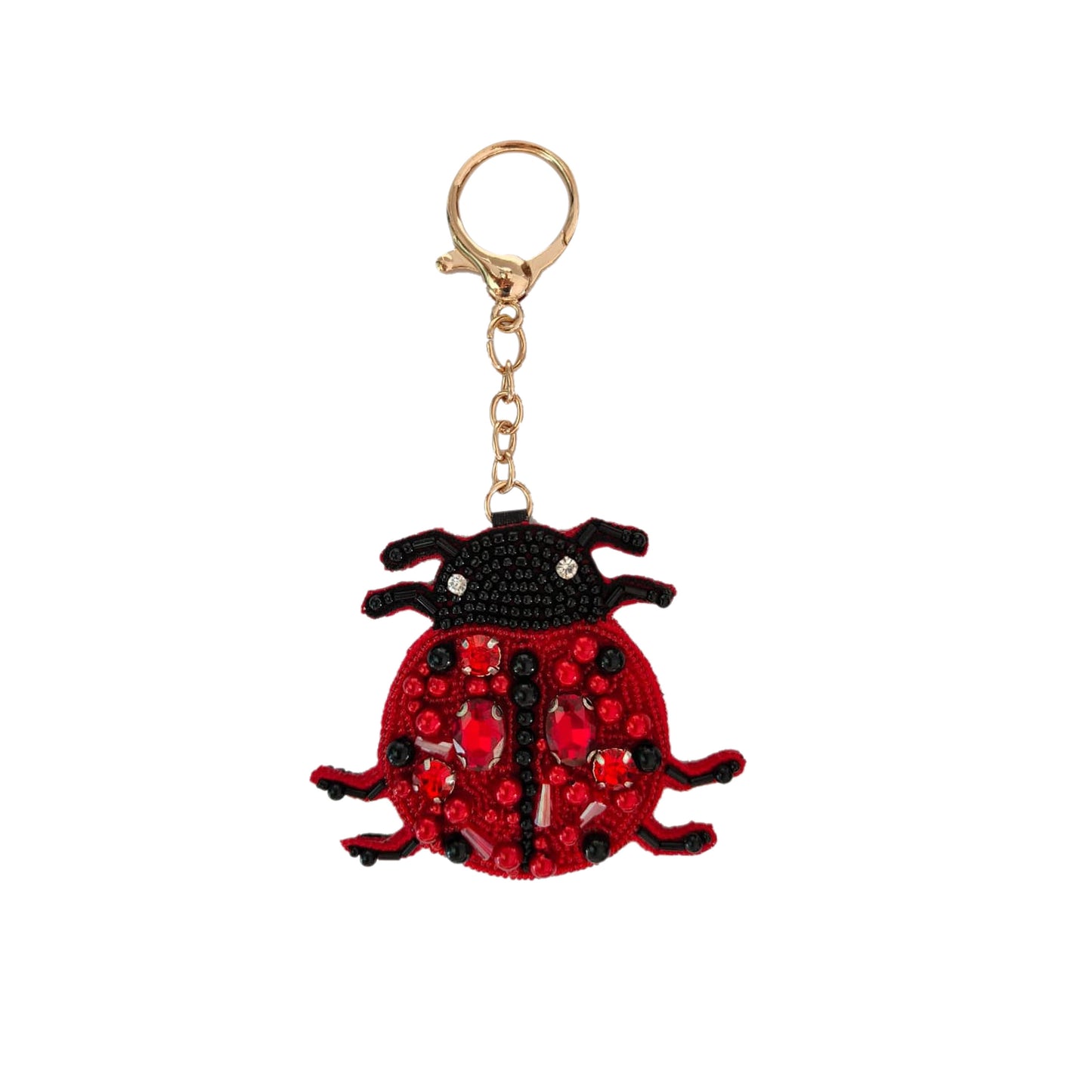 CHARM LADY BUG