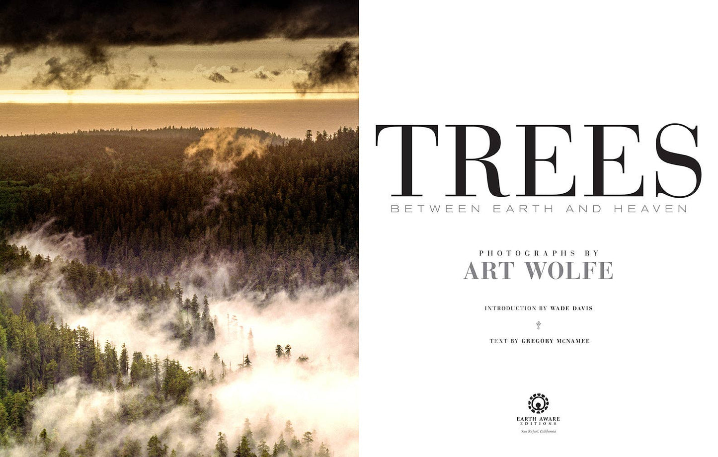 Trees a Coffee Table Book