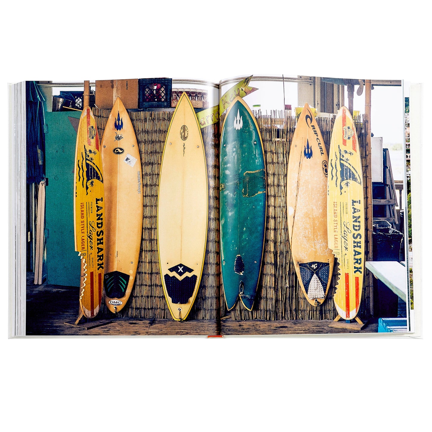 Beach Life Leather Bound Coffee Table Book (Designers' Pick)