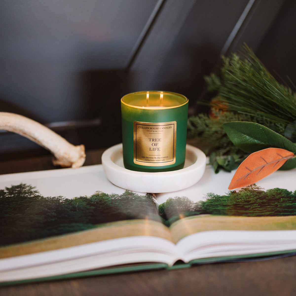 Tree of Life Candle