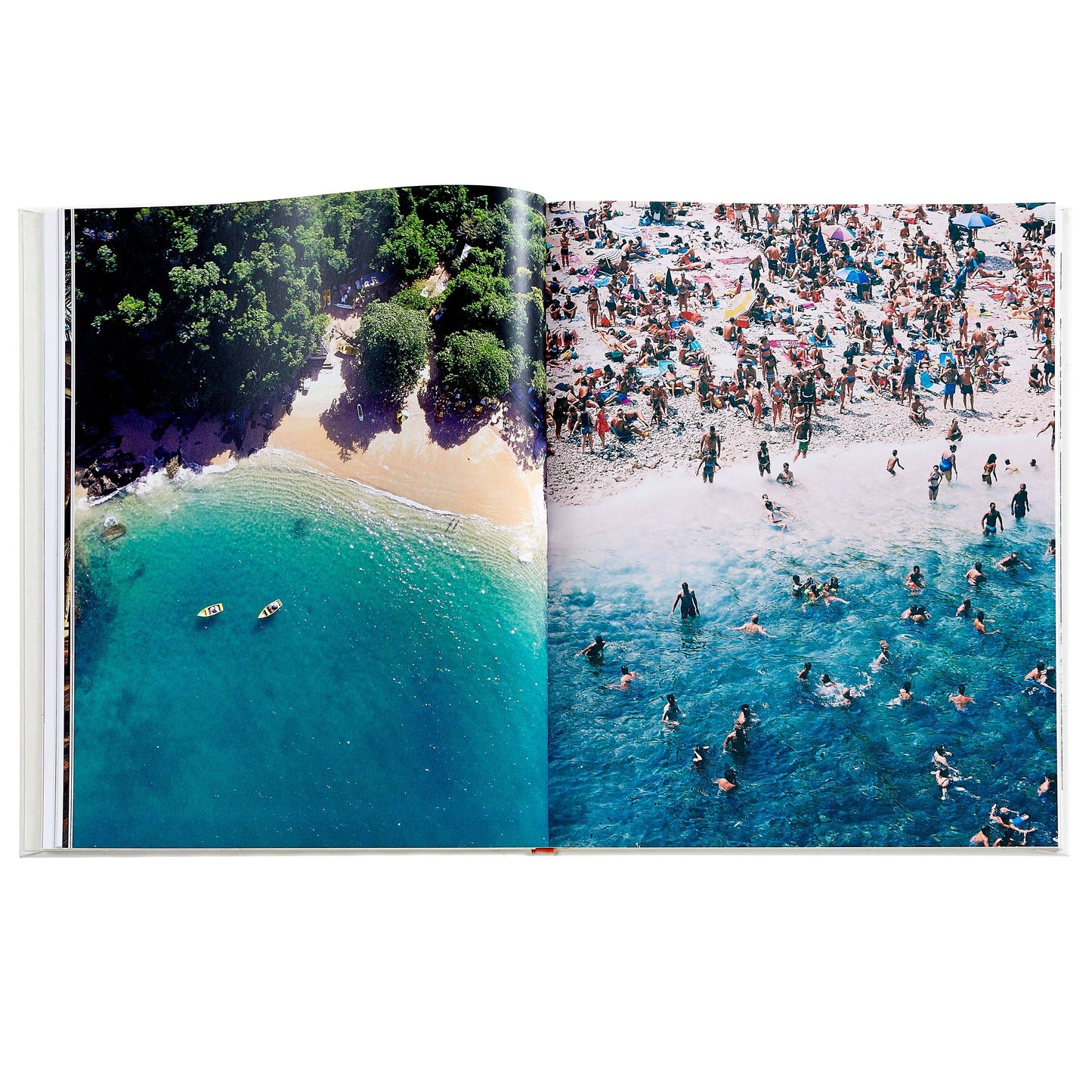 Beach Life Leather Bound Coffee Table Book (Designers' Pick)