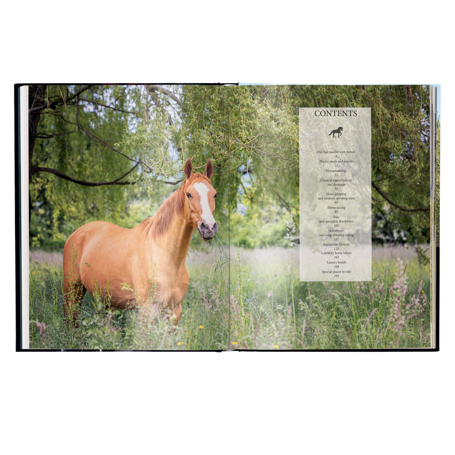 Equestrian - The Ultimate Book