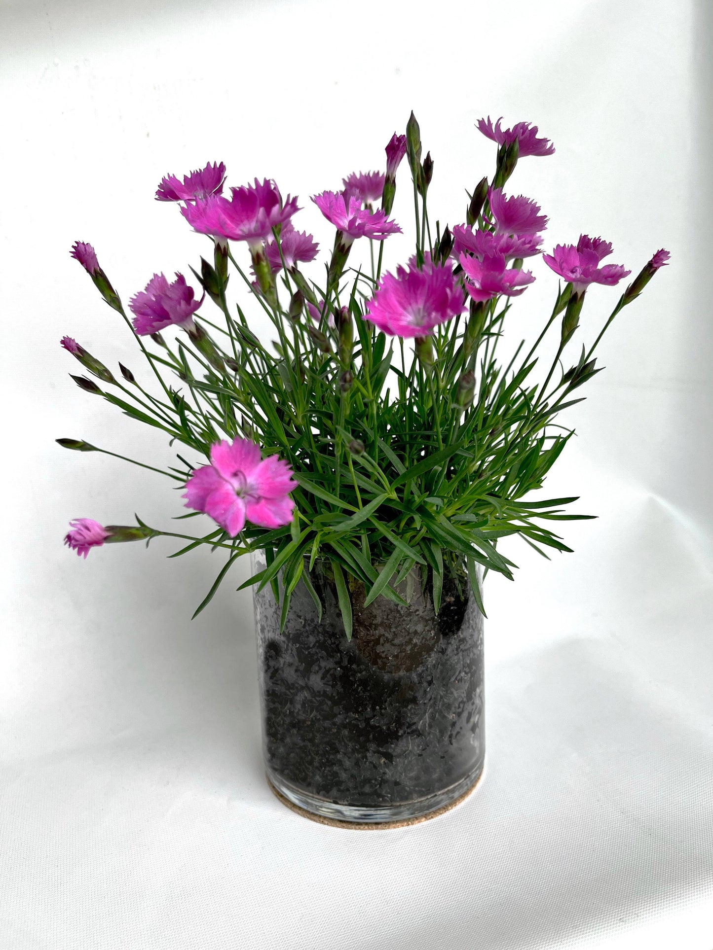 Love | Pinks | Three-Season Floral Gift