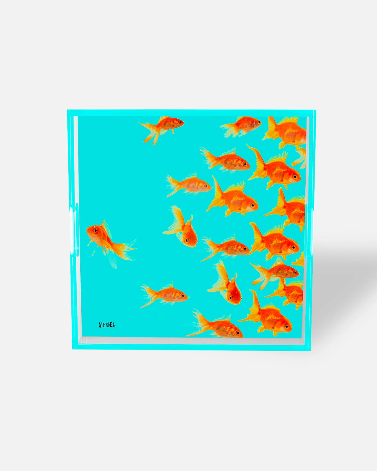 Acrylic Square Tray — Aqua Swim Goldfi