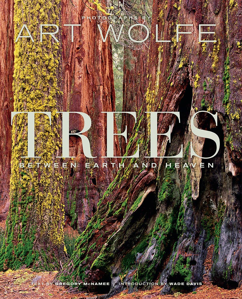 Trees a Coffee Table Book