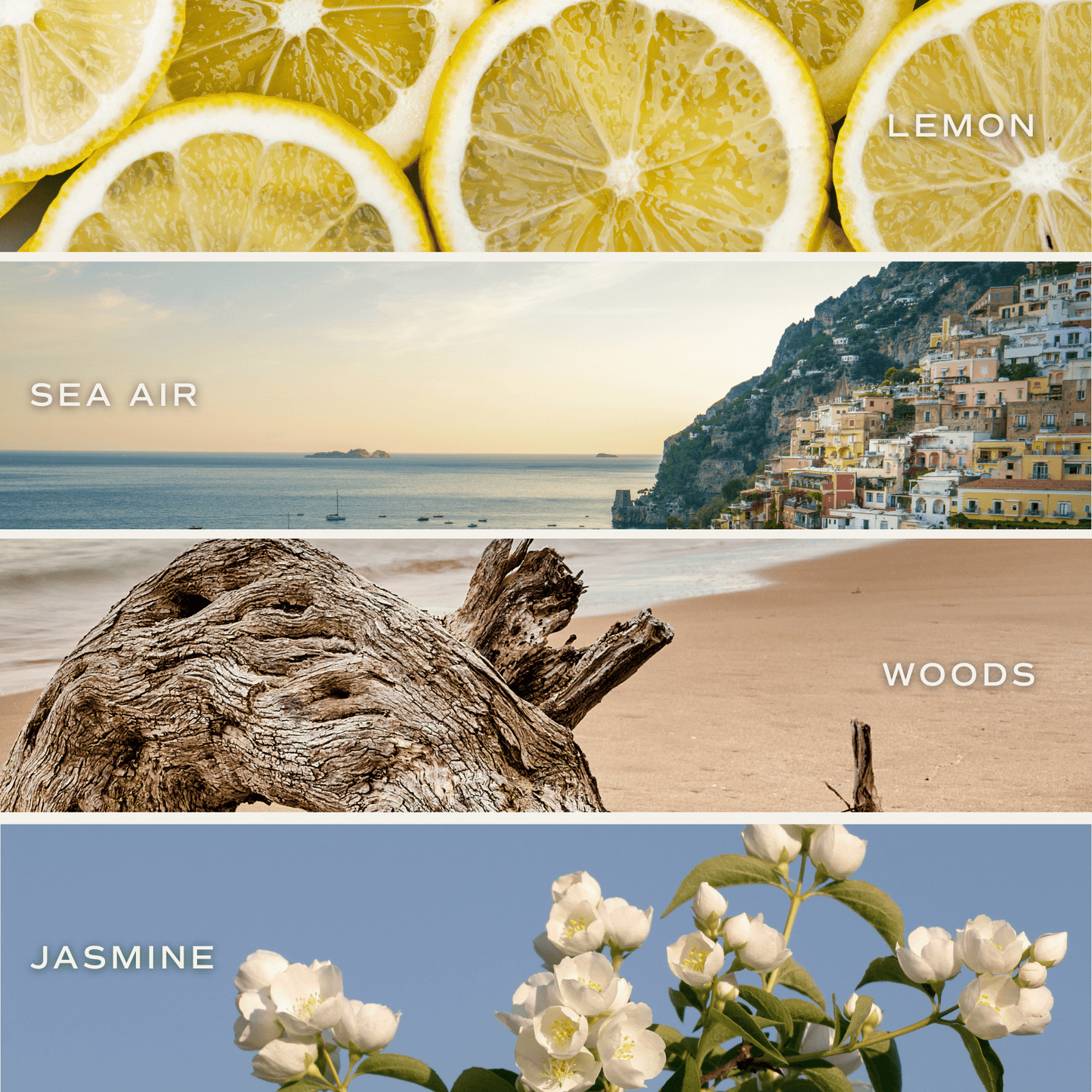 Coastal Lemon 15 oz Soy Candle, Matte Jar