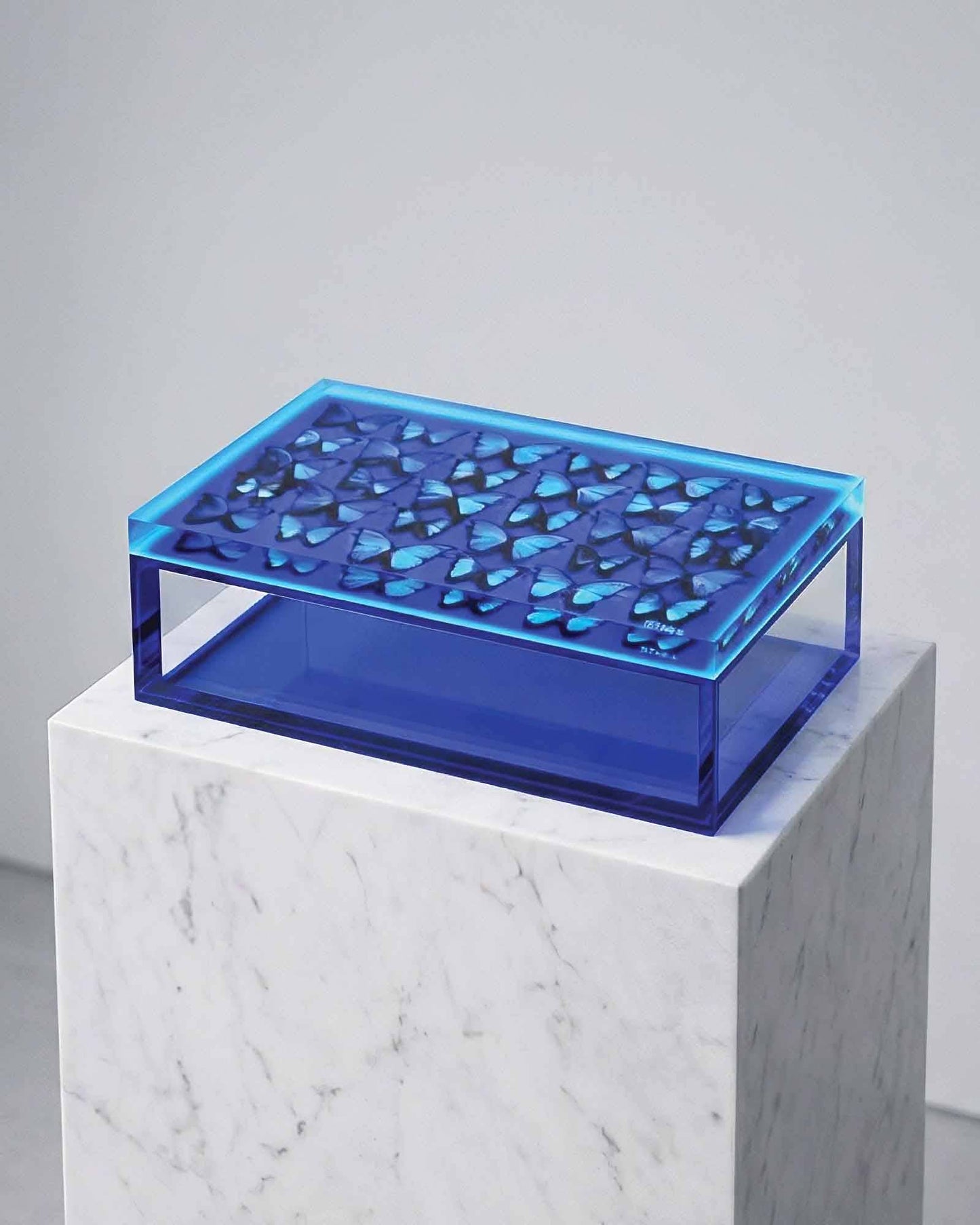 Cobalt Blue Butterfly Acrylic Keepsake/Jewelry Box(Limited Edition)