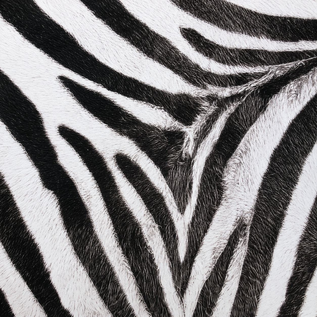 Premium Zebra Mahjong Mat