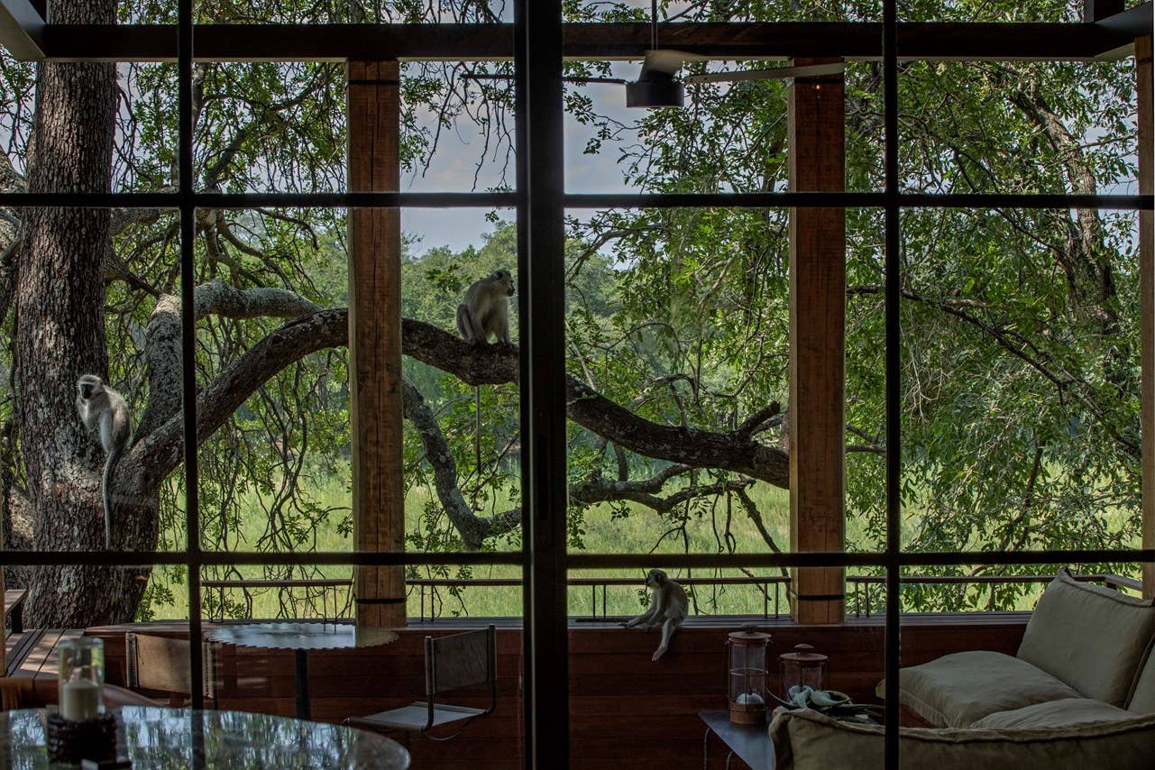 Safari Style Coffee Table book