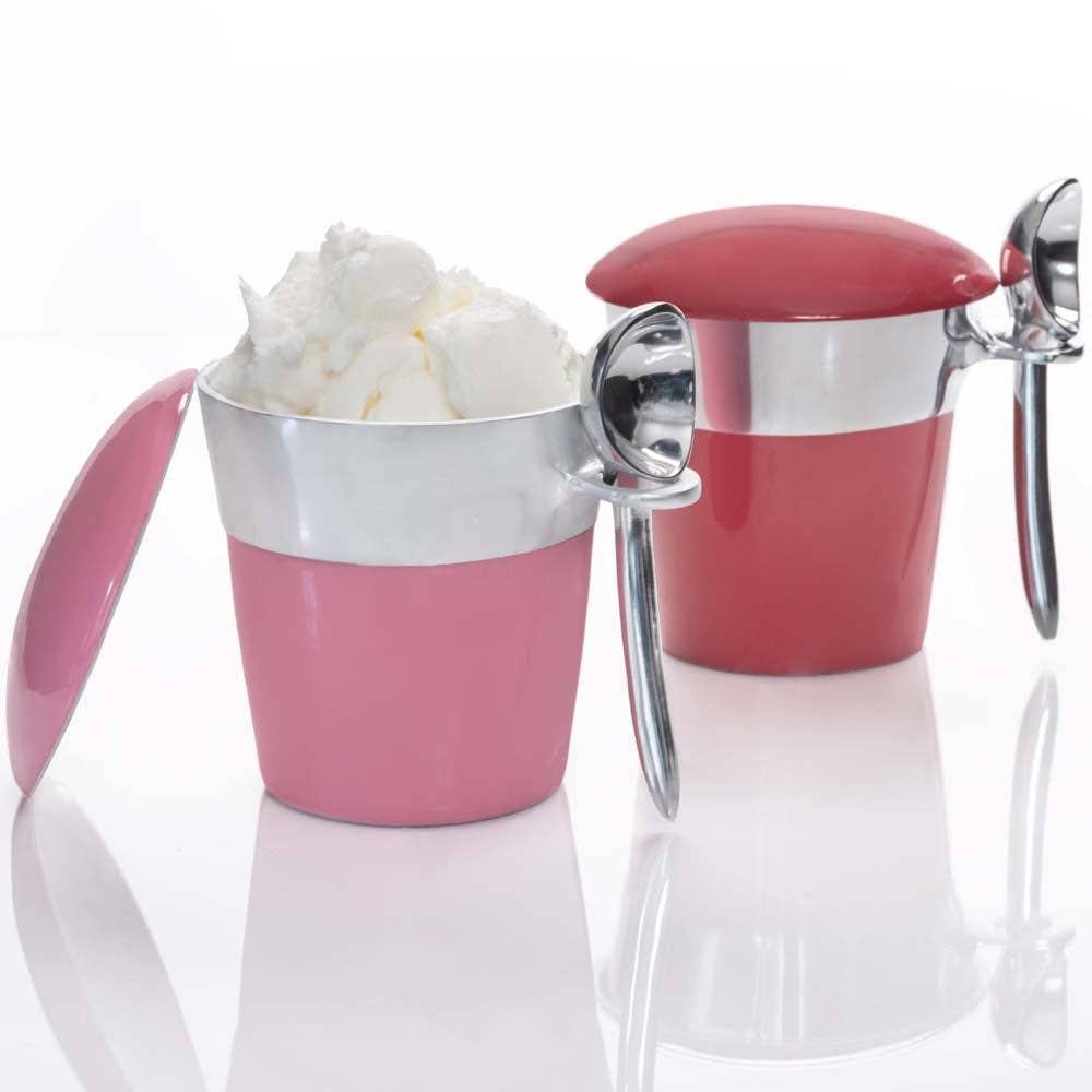 Retro Pint Ice Cream Server Set