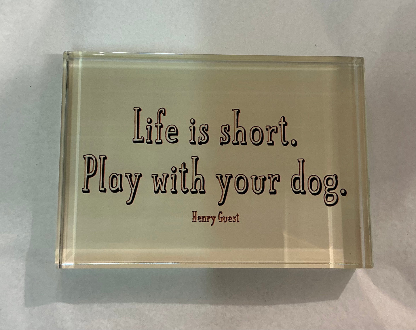 Glass Block - “Life is Short. Play with Your Dog” *Exclusive to Code Blue*