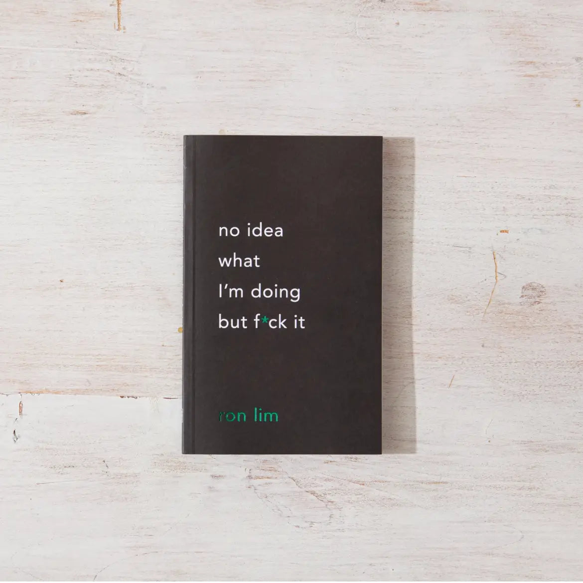 No Idea What I'm Doing But F*ck It Book