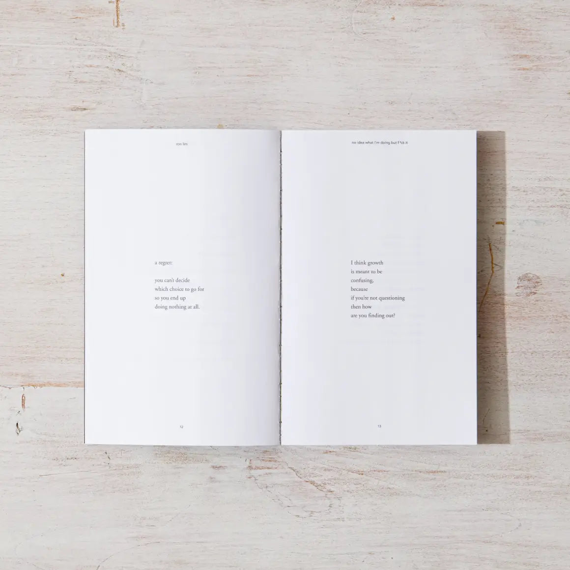No Idea What I'm Doing But F*ck It Book