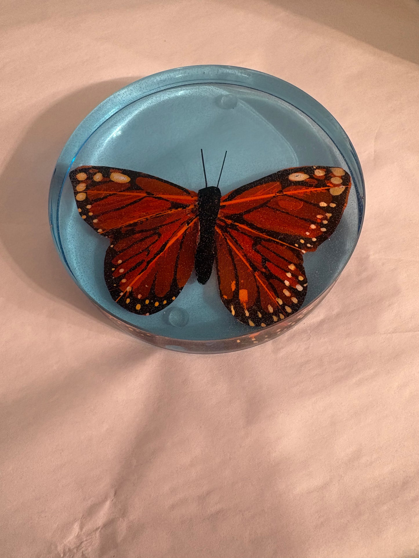 Butterfly Coaster (Handmade)