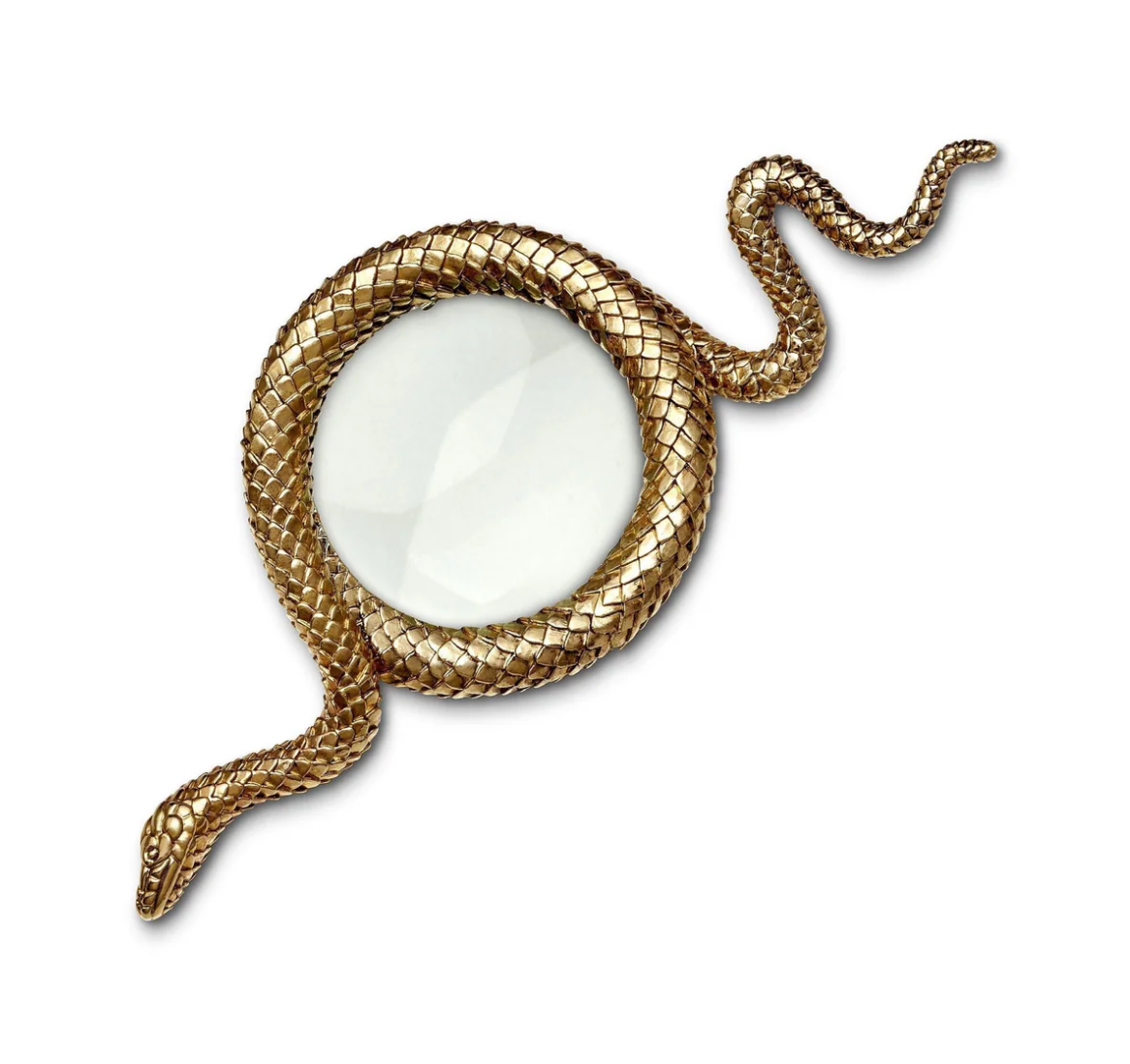 Snake Magnifying Glass - Large