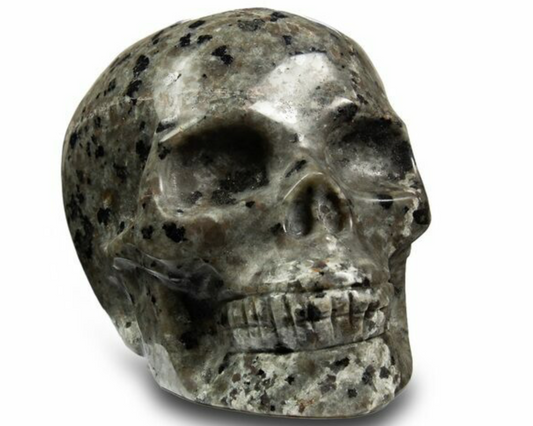 Syenite Skull