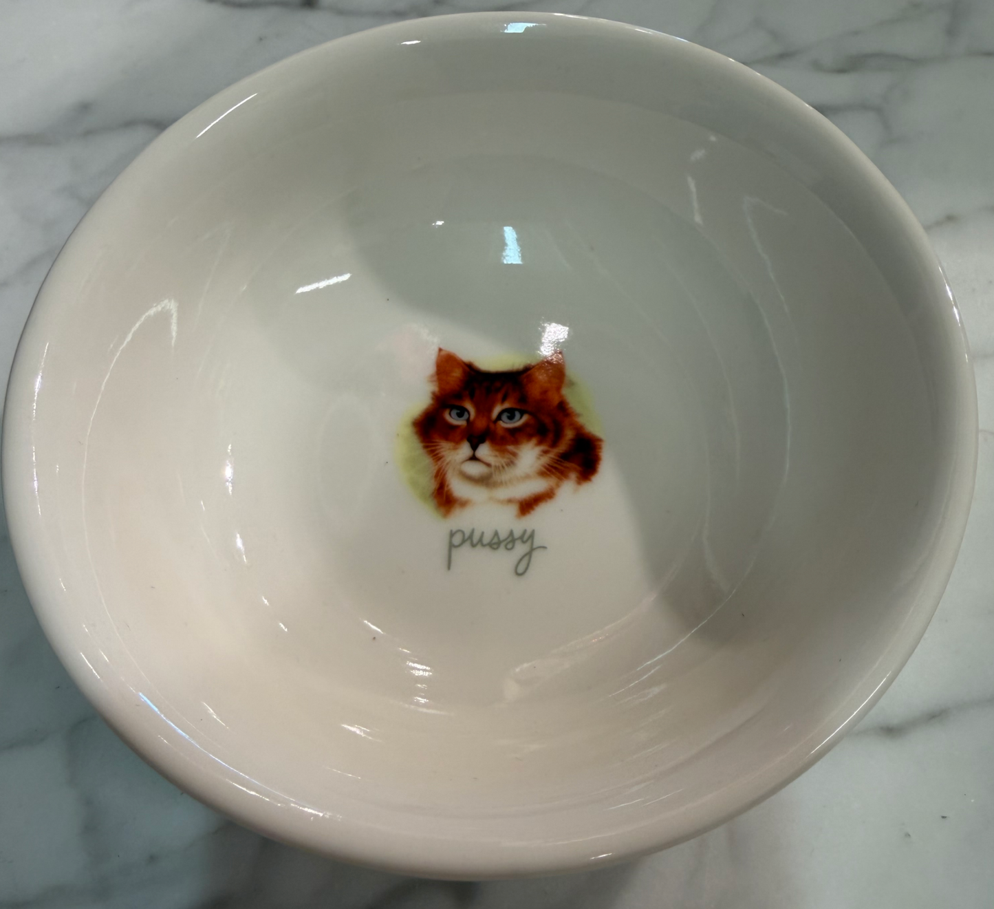 Pussy Bowl for Family Cat