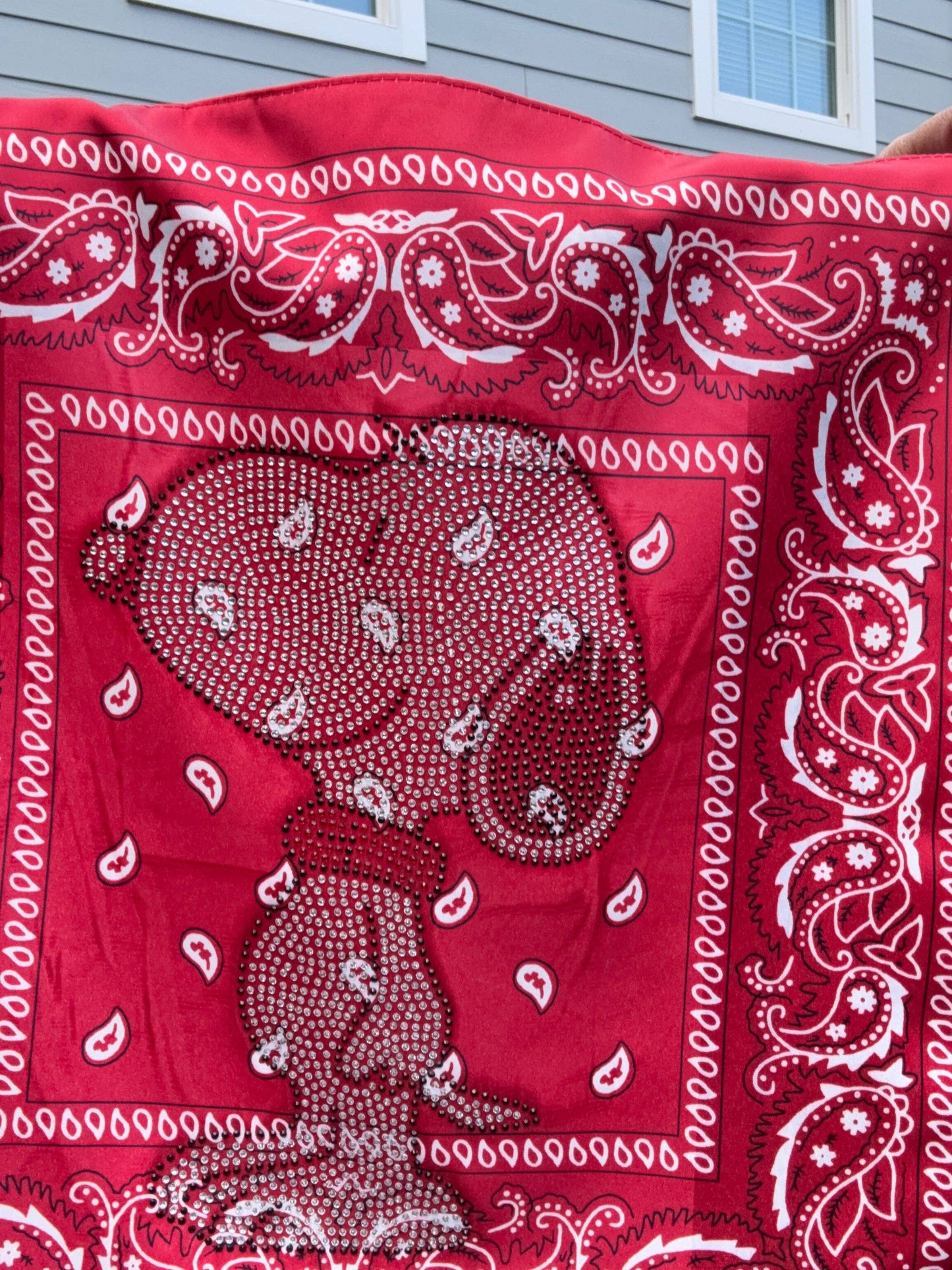 The Maya- Bandana Patch Bag (Butterfly or Snoopy)