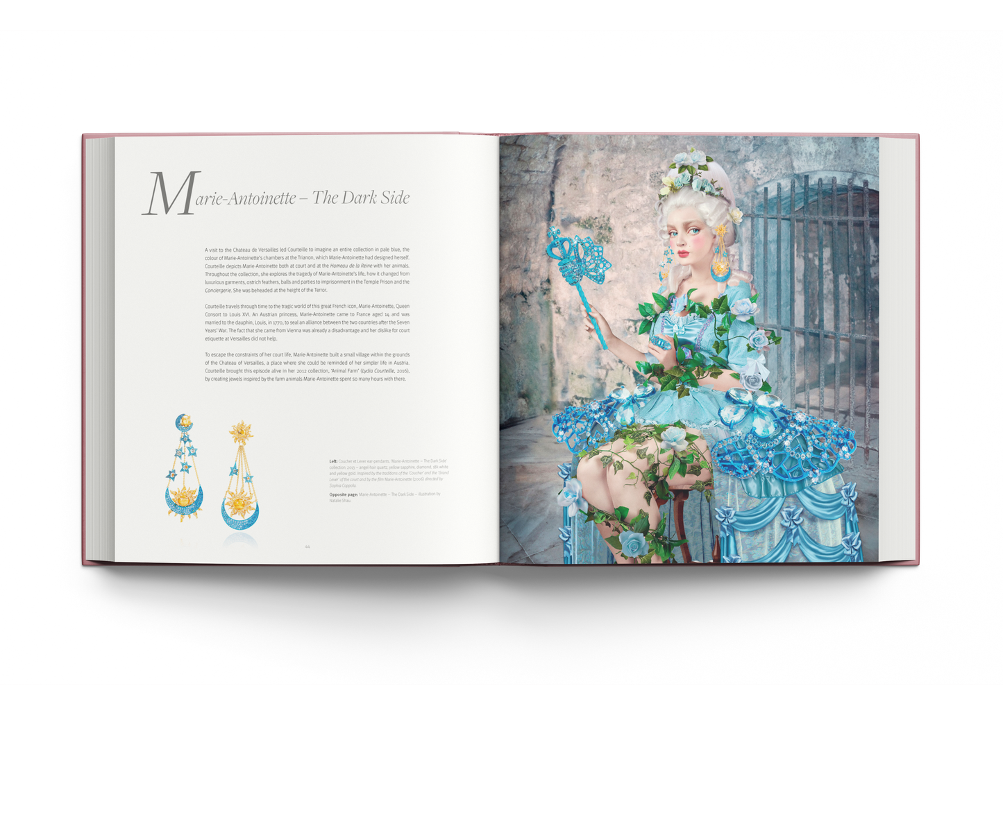 Lydia Courteille: A Jeweller's Odyssey Book