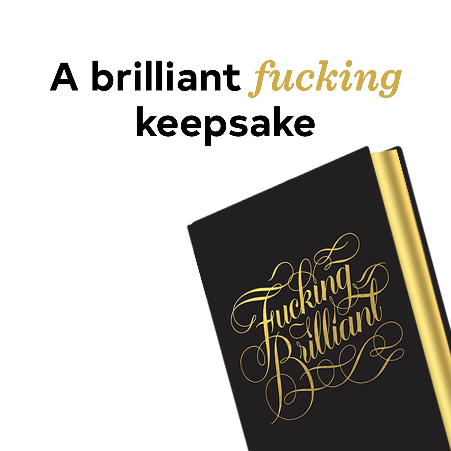Fucking Brilliant One Line a Day