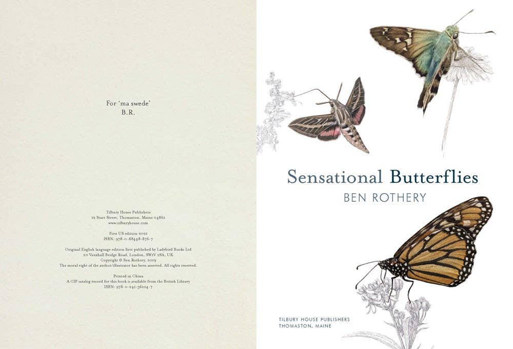 Sensational Butterflies