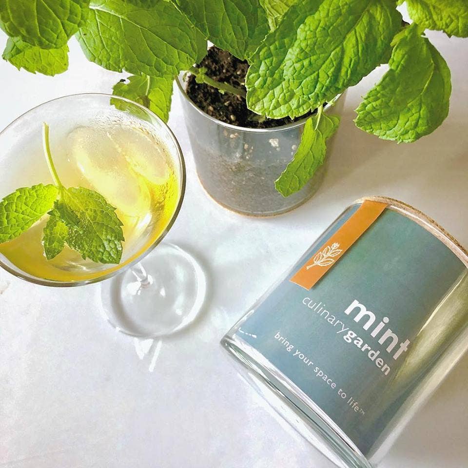 Mint Garden | Spring & Tea Gift Idea